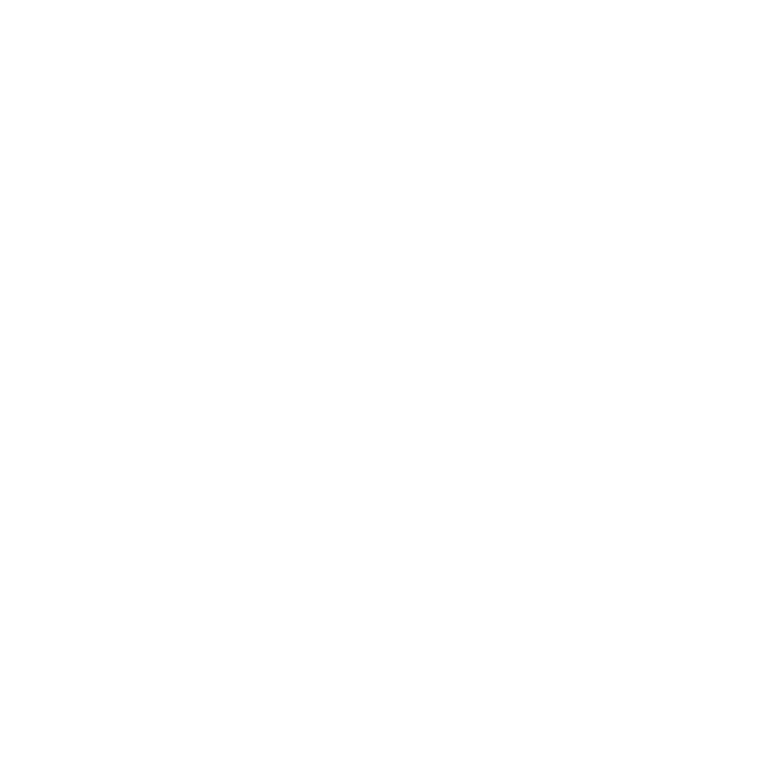 Axis Capital